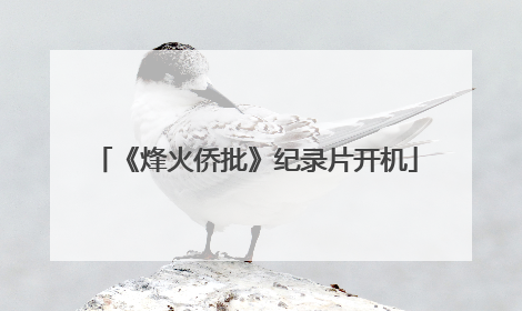 《烽火侨批》纪录片开机