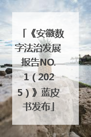 《安徽数字法治发展报告NO.1（2025）》蓝皮书发布
