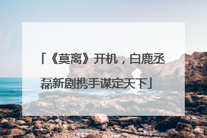 《莫离》开机，白鹿丞磊新剧携手谋定天下