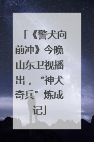 《警犬向前冲》今晚山东卫视播出，“神犬奇兵”炼成记