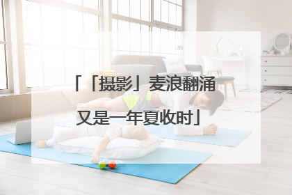 「摄影」麦浪翻涌 又是一年夏收时