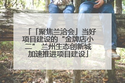 「聚焦兰洽会」当好项目建设的“金牌店小二” 兰州生态创新城加速推进项目建设