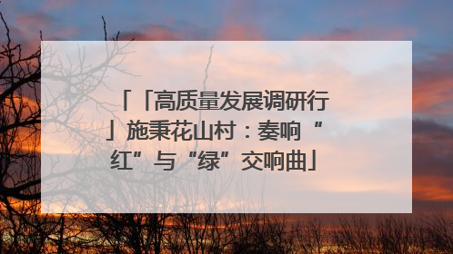 「高质量发展调研行」施秉花山村：奏响“红”与“绿”交响曲