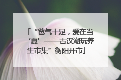 “爸气十足，爱在当‘夏’——古汉潮玩养生市集”衡阳开市