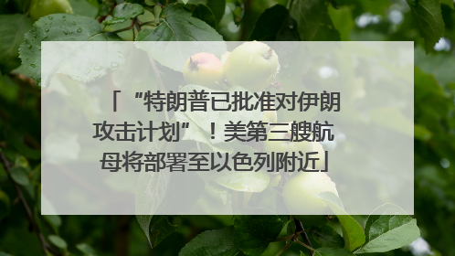 “特朗普已批准对伊朗攻击计划”！美第三艘航母将部署至以色列附近