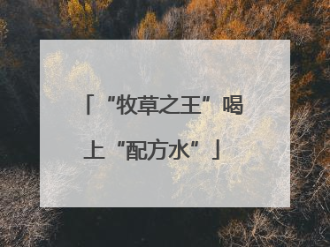 “牧草之王”喝上“配方水”