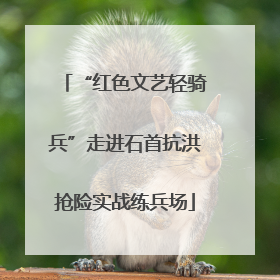 “红色文艺轻骑兵”走进石首抗洪抢险实战练兵场