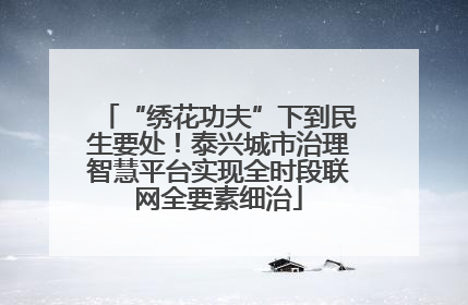 “绣花功夫”下到民生要处！泰兴城市治理智慧平台实现全时段联网全要素细治