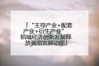 “主导产业+配套产业+衍生产业” 镇域经济创新发展释放强劲发展动能