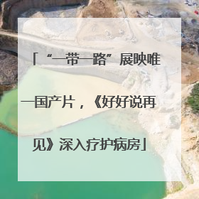 “一带一路”展映唯一国产片，《好好说再见》深入疗护病房