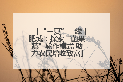 “三夏”一线丨肥城：探索“菌果蔬”轮作模式 助力农民增收致富