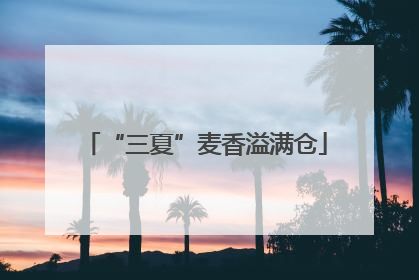 “三夏”麦香溢满仓