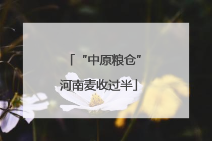 “中原粮仓”河南麦收过半