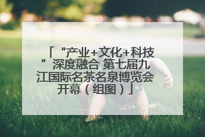 “产业+文化+科技”深度融合 第七届九江国际名茶名泉博览会开幕（组图）