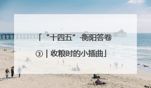 “十四五”·衡阳答卷③｜收粮时的小插曲