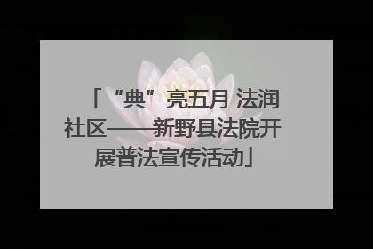 “典”亮五月 法润社区——新野县法院开展普法宣传活动