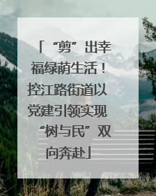 “剪”出幸福绿荫生活！控江路街道以党建引领实现“树与民”双向奔赴