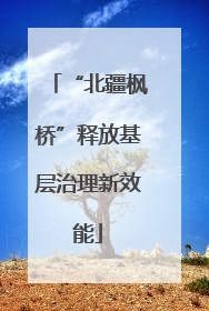 “北疆枫桥”释放基层治理新效能