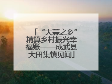 “大蒜之乡”精算乡村振兴幸福账——成武县大田集镇见闻