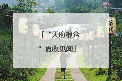“天府粮仓”夏收见闻