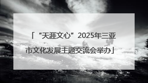 “天涯文心”2025年三亚市文化发展主题交流会举办