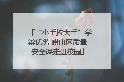 “小手拉大手”学辨优劣 崂山区质量安全课走进校园