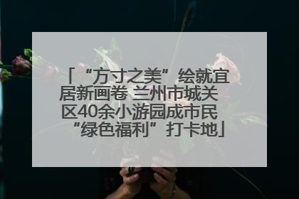 “方寸之美”绘就宜居新画卷 兰州市城关区40余小游园成市民“绿色福利”打卡地