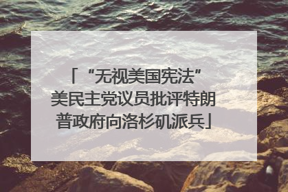 “无视美国宪法” 美民主党议员批评特朗普政府向洛杉矶派兵