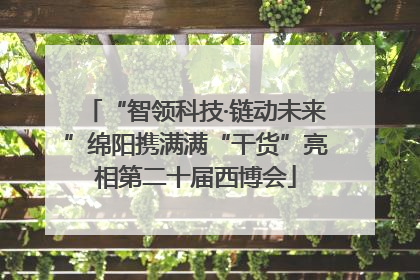 “智领科技·链动未来”绵阳携满满“干货”亮相第二十届西博会