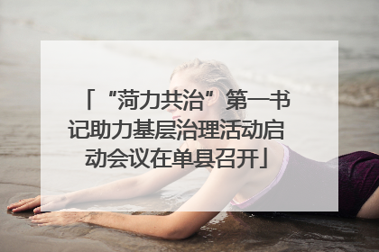 “菏力共治”第一书记助力基层治理活动启动会议在单县召开