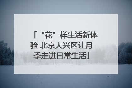 “花”样生活新体验 北京大兴区让月季走进日常生活