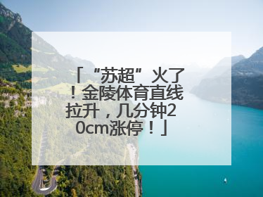 “苏超”火了！金陵体育直线拉升，几分钟20cm涨停！