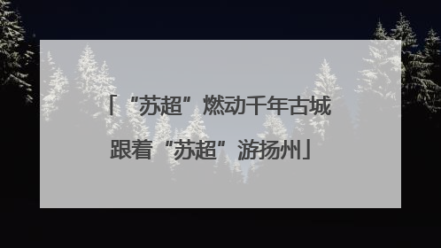 “苏超”燃动千年古城 跟着“苏超”游扬州