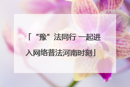 “豫”法同行 一起进入网络普法河南时刻