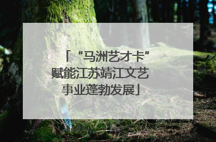 “马洲艺才卡”赋能江苏靖江文艺事业蓬勃发展
