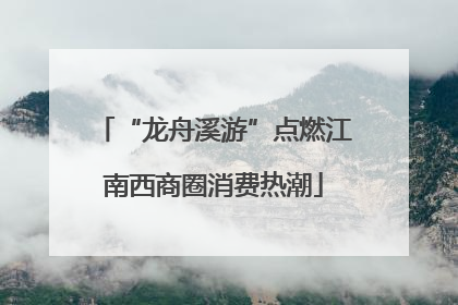 “龙舟溪游”点燃江南西商圈消费热潮