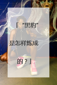 “黑豹”是怎样炼成的？