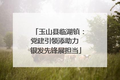 玉山县临湖镇：党建引领添助力 银发先锋展担当