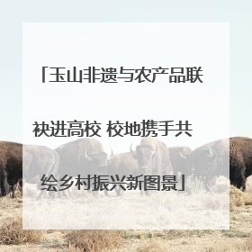玉山非遗与农产品联袂进高校 校地携手共绘乡村振兴新图景