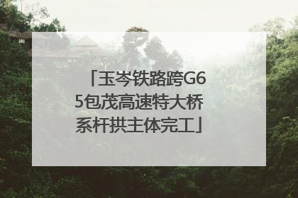 玉岑铁路跨G65包茂高速特大桥系杆拱主体完工