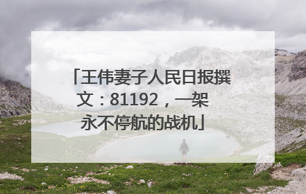 王伟妻子人民日报撰文：81192，一架永不停航的战机