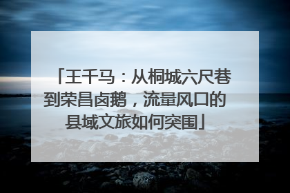 王千马：从桐城六尺巷到荣昌卤鹅，流量风口的县域文旅如何突围
