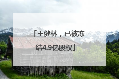 王健林，已被冻结4.9亿股权