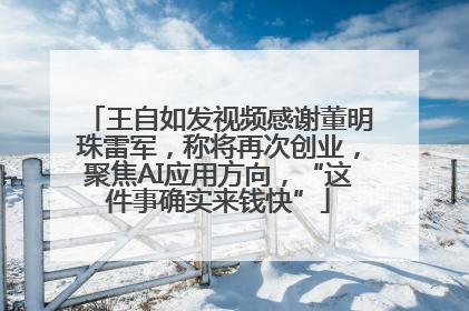 王自如发视频感谢董明珠雷军，称将再次创业，聚焦AI应用方向，“这件事确实来钱快”