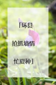环县 抢抓墒情忙夏种