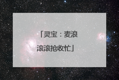 灵宝：麦浪滚滚抢收忙