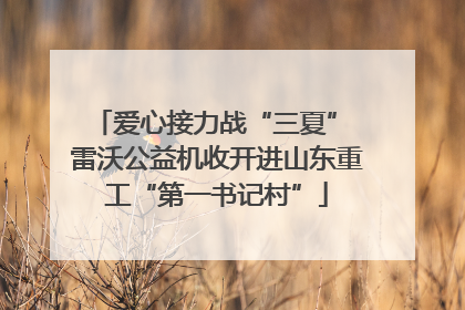 爱心接力战“三夏” 雷沃公益机收开进山东重工“第一书记村”