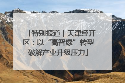 特别报道｜天津经开区：以“高智绿”转型破解产业升级压力