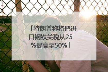 特朗普称将把进口钢铁关税从25%提高至50%