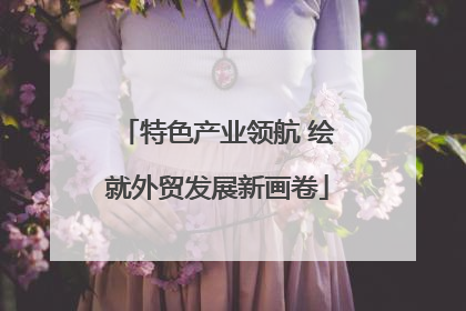 特色产业领航 绘就外贸发展新画卷